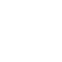 Revisione veicoli industriali